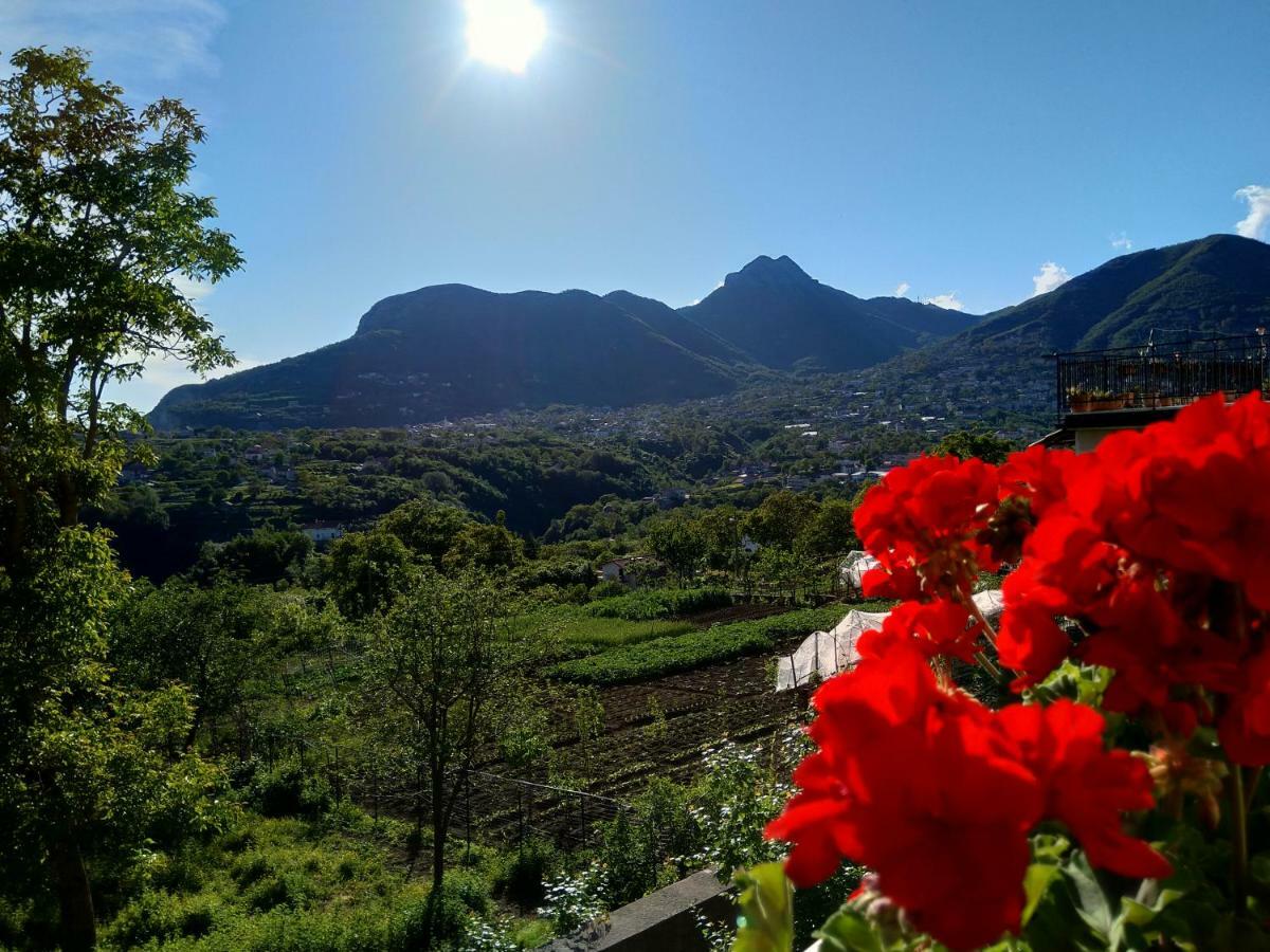 Jerula B&B Agerola Dış mekan fotoğraf